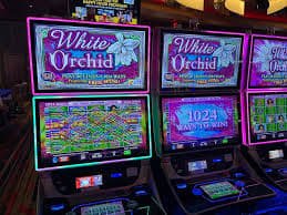 togel onlin featured game showcase